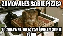 Takie jest życie z kotem...