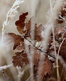 A gdyby tak uchwycić w obie...