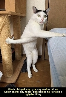 ;))
