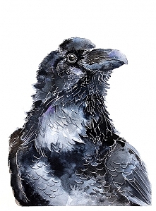 Portret Kruka - plakat, reprodukcja 30x40cm