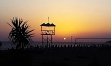 dariaa-blog.blogspot.com