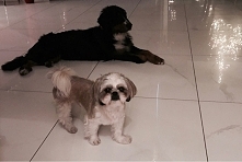 ostatnie wspólne zdjęcie ps...