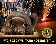 Twoja zabawa moim koszmarem...