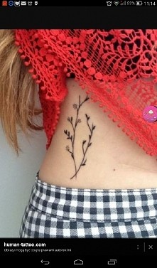 kolejne polne kwiaty ❤