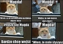 MAGDA ...