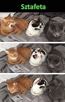 SZTAFETA :)