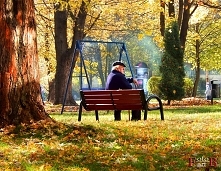 Seniorzy. Czy bycie seniorem oznacza samotność?