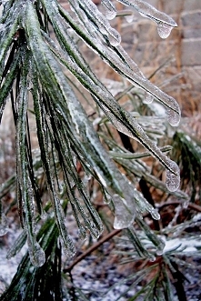 Ktoś żuł winterfresh :D