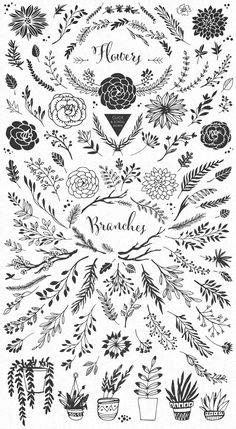 Handsketched rustic elements