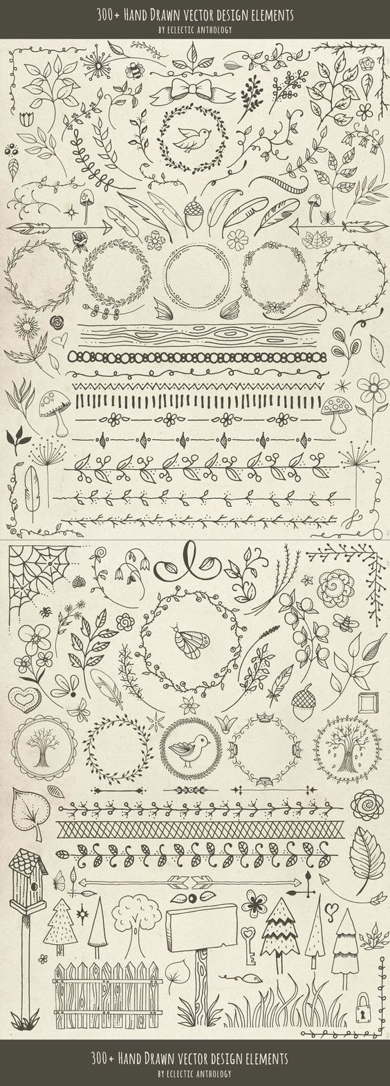 Hand drawn vector design elements
