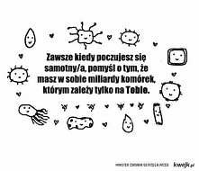 #poland #cytat #friend #love