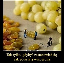 Teraz już wszystko jasne ;&...