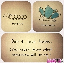 don't lose hope