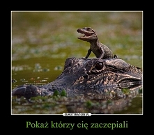 :) mamy