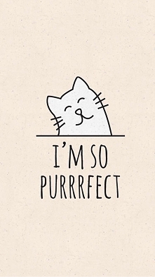 #cat #perfect