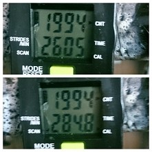 dzień 9 step zdjęcie slabee bo mało czasu dziś :-)