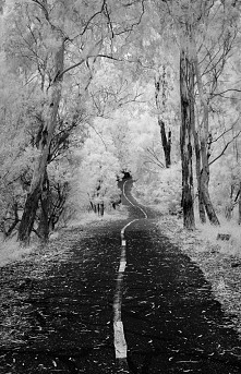 Nie liczy się prędkość  , t...