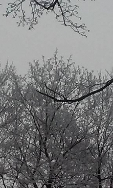 przyznajcie że jednak jest pięknie jak trochę śniegu spadnie