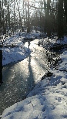 Rzeka zamarzla u nas w lesie...czas na łyżwy-;)