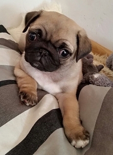 zezolek♡♡♡♡♡♡♡♡♡♡♡♡♡