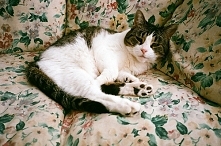 Taaki śpiący dzisiaj dzień. Też tak macie?