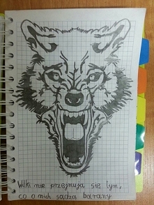 Wilki nie przejmują się tym co o nich sądzą barany