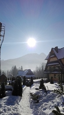 Apartament Convallis. Widok...