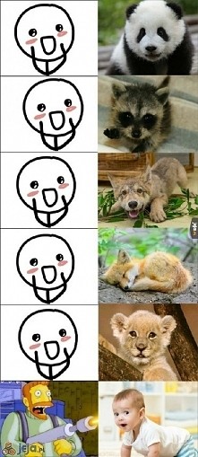 xD.
