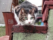 No i co się tak PATRZYSZ?