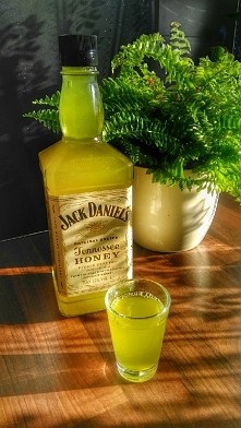 Jak leczyć mężczyznę czyt.fana whisky ? Trochę miodu, imbiru parę cytryn, zamiast słoika butelka ulubionego trunku i świadomość minimalnie oszukana. Polecam !