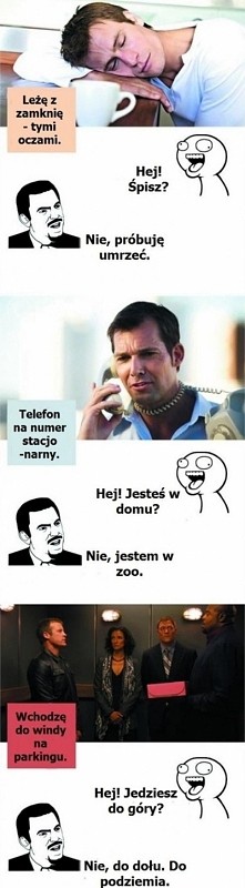 Jak odpowiadać na głupie pytania ;)