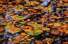 wiosna, cieplejszy wieje wi...