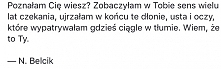 N. Belcik