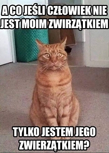 to w ogóle możliwe?