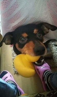 ♡◇♡Mój słodziak♡◇♡