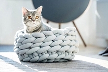 coś dla naszego pupilka