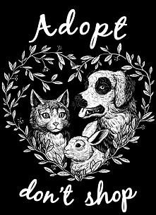 Jak do was trafiły wasze zw...