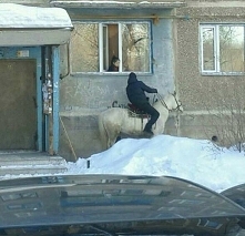 Rycerz na białym koniu