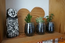 Sukulenty w słoiczkach po jogurcie z Biedronki:)