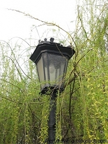 Werterownia zaprasza na blo...