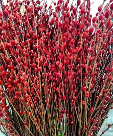 Portal Weselnapolska_pl 
Kwiaty na ślub, inspiracje i pomysły.