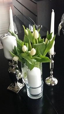 moje ulubione tulipany...