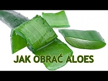 ALOES JAK OBIERAĆ NAJPROSTSZA METODA CENNE RADY JAK JEŚĆ #2