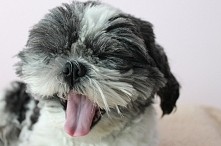 zrobiłam małą sesyjke mojem...