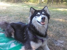 Lenka-najlepszy i największy antydepresant:)