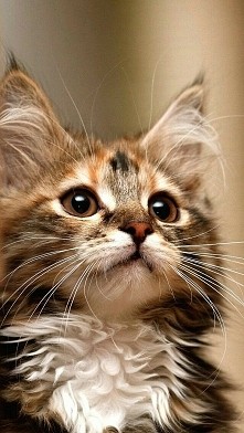 ♡♡♡