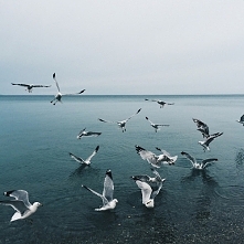 Wolałabym przegrać, niż nig...