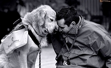 #pies #Konkurs #bylsobiepies