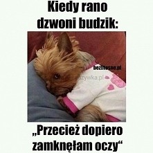 Kiedy rano dzwoni budzik...