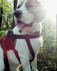 Prawdziwy przyjaciel <3